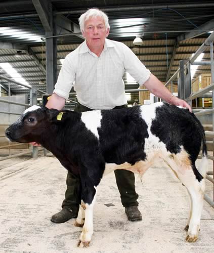 Colin Whitelock with his £600 calf