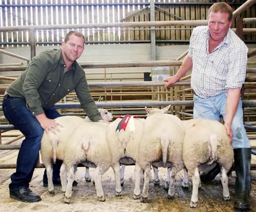 Tim Robinson is pictured right with his latest Skipton prime lamb champions, joined by buyer James Robertshaw, of Keelham Farm Shop