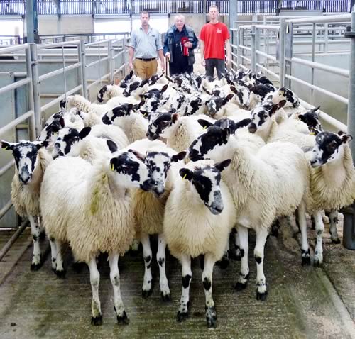 Shepherd Michael Burnop, Alan Barnes, and Gavin Haworth, of sponsors JACS, with the first prize pen of Mule wethers