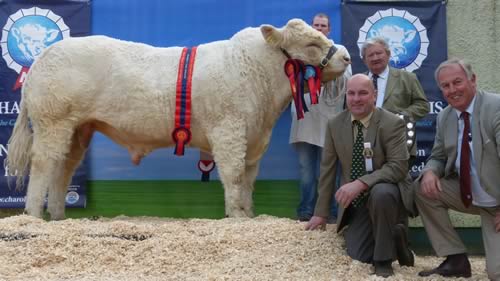 Coolnaslee Ivanhoe, Supreme Male Champion