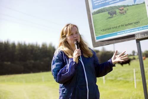 “A calving interval of more than 365 days is akin to throwing money into the nearest sheugh,” Dr Denise Lowe reminded suckler herd owners at the AFBI Hillsborough briefing.