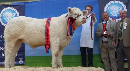 Bessiebell Incredible, Supreme Female Champion
