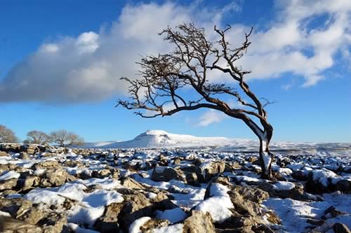 Ingleborough Dales Landscape Partnership