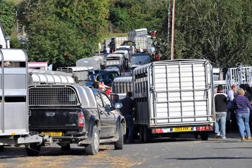 NSA Wales & Border Ram Sale