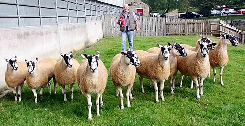 Tim Jackson with his first prize Skipton pen of Mule shearling gimmers.