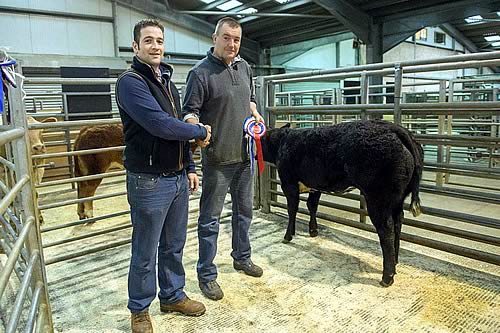 Champion suckled calf with James whiteford (judge) and Michael Cousin (vendor)