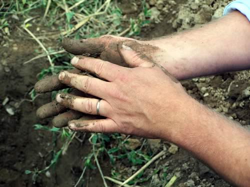 Soil