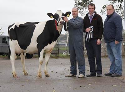 Supreme champion Newry Buckles Mayflower James Stevenson, was congratulated by Mark Johnston, Mason Animal Feeds, sponsor; and judge Richard Charles
