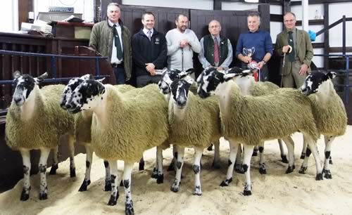 The photo is of the Champion Lambs with from left to right Paul Staley – Lazonby Branch NEMSA Chairman, Robert Wharton, Dodd & Co – Sponsor, Brian Ridsdale – Judge, Richard Evans – Judge, Philip Dawson, Kentmere Hall – Vendor, Alan Walton – Referee