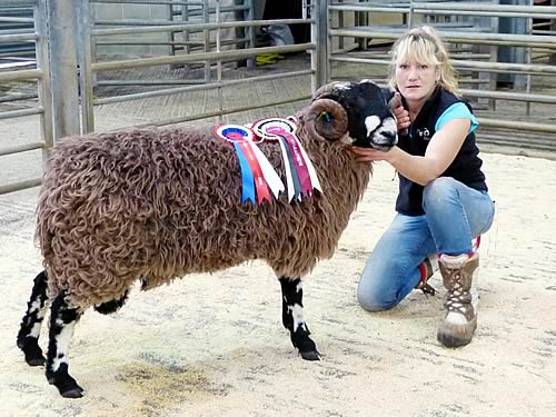Alison Haygarth with the family’s 2014 Skipton Dalesbred shearling ram champion