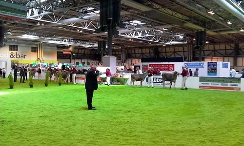 Livestock Event