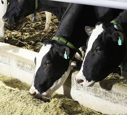 Farmers who use Ovalert will be able to opt for SCR best seller Heatime® Solutions.