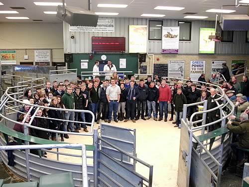 students after the sale at Penrith Auction Mart