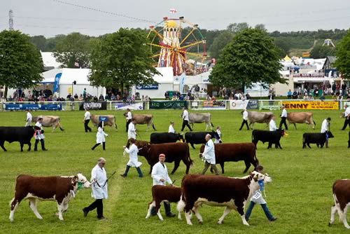 Royal Bath & West Show