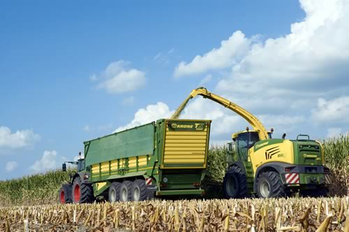 Maize Harvesting