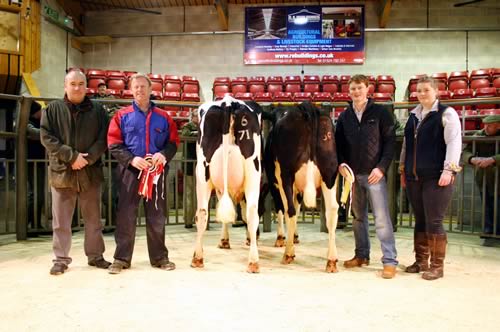 Pictured with the opening February Craven Dairy Auction principles are, from left, judge Shaun Sowray, champion Mark Houseman, reserve champion James Swires and Megan Thomas, of sponsors G Shepherd Animal Health.