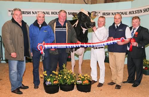 Supreme champion and exhibitor-bred champion at the Irish National Holstein Show was Glaslough Miss Petra shown by Denis O'Neill, and bred by Kenny and David Boyd, County Monaghan. Adding their congratulations are Sean Reid, and Gavin Connaughty, Cookstown Dairy Services, sponsor; and judge Mick Gould.