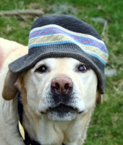 Hats the Way to do it for Yorkshire’s Three Peaks