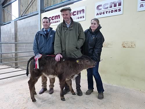 Phil Coleman, of sponsors Forfarmers, with Phillip Summers and his champion calf, and judge Samantha Asquith.