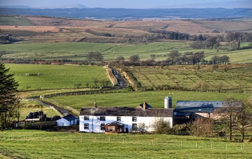 Farm