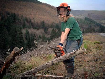 Forestry Worker