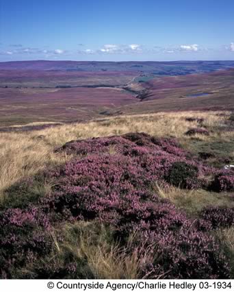 North Pennines