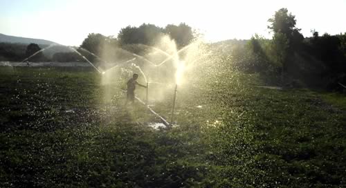 Irrigation