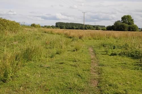 Ashmoor Common