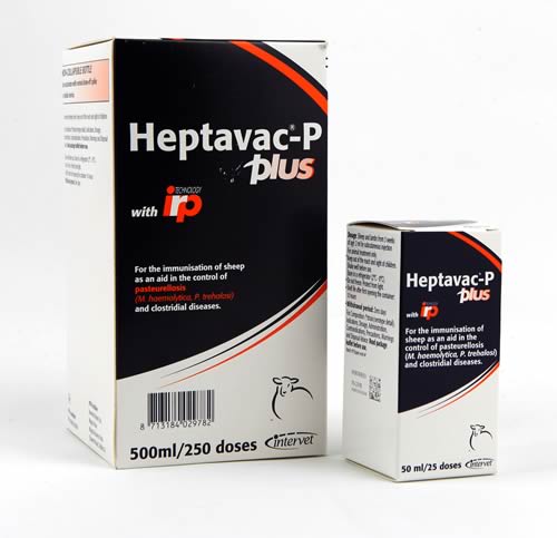 Heptavac P Plus
