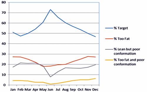 English lamb carcase performance by month 2014