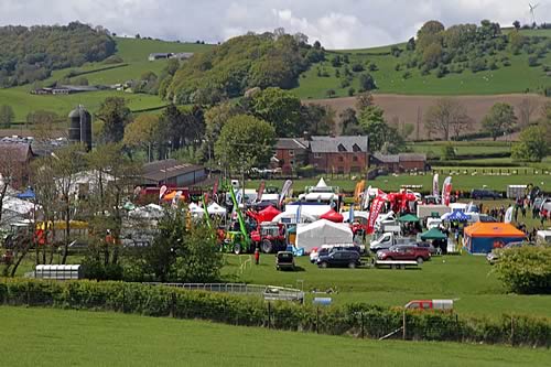 NSA Welsh Sheep 2015