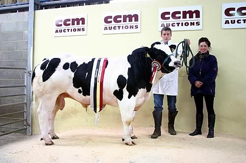 Rob Walker with the family’s Skipton British Blue supreme champion bull, joined by judge Sheila Mason.