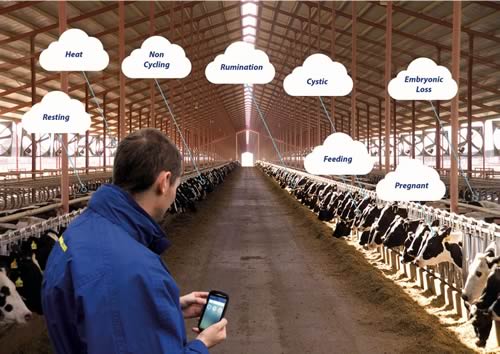Dairymaster MooMonitor+
