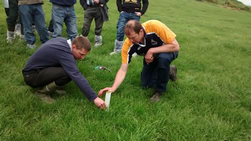 Monitor growth and quality to get the milk production and concentrate saving potential of grazed grass.