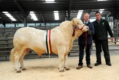 Tim Moorhouse with the family’s Ling Fields Beef Cattle Fair champion, joined by judge James Huck