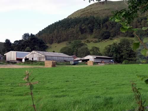 Farm