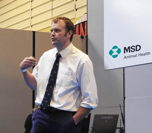 Synergy Farm Health dairy vet Alastair Hayton