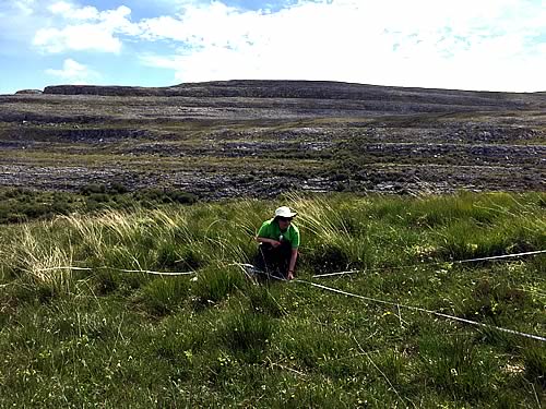 Burren Monitoring Site: Professor Buckley has set up a new monitoring site in the Burren, Co. Clare, to see whether patterns of non-native sp ecies dominance are similar in this precious ecosystem as in other grasslands across the globe