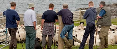 Crofters