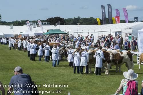 Great Yorkshire Show