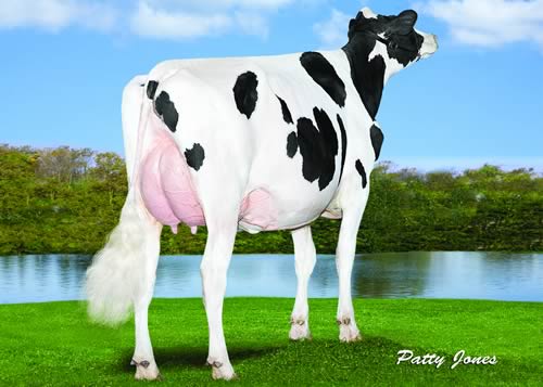McCutchen daughter: Walnutlawn McCutchen Summer