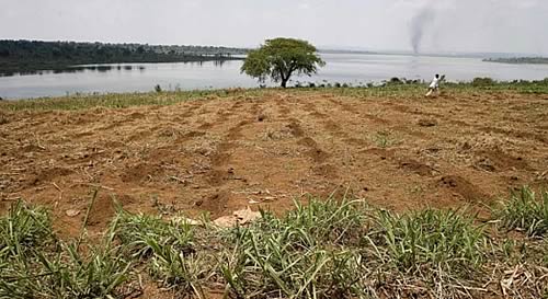 FAO