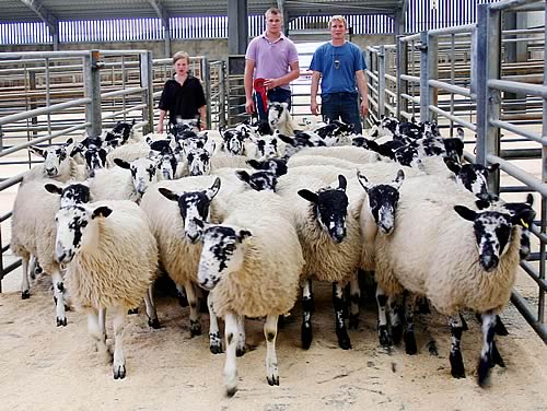 Steven Wells, right, with the first prize pen of Mule wethers, joined by son Owen and judge Jacob Stoddart.