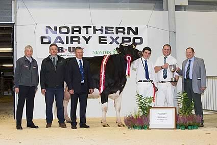 2014 Northern Dairy Expo Champion - Ingleview Gold Doll