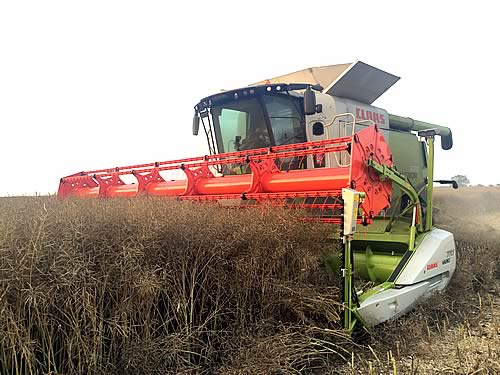 Tuer Combine