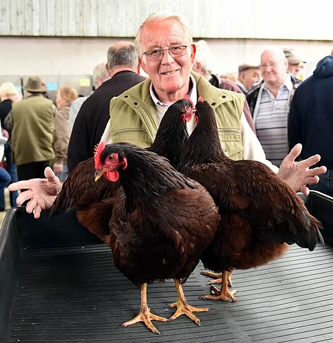 Trevor Hardaker with his Craven Feather Auctions champion Rhode Island Red trio.