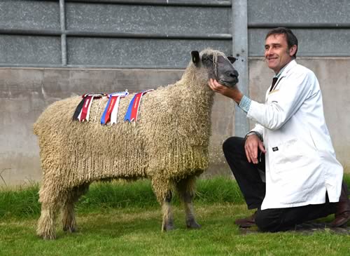 Ernie Sherwin with his Skipton Wensleydale supreme champion