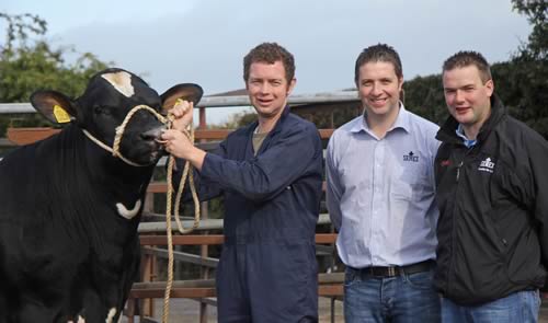 Kenny Watson's honourable mention winner Majestic La Ron sold for a top price of 2,020gns at Holstein NI's Kilrea show and sale. Adding their congratulations are judge Andrew Kennedy, and sponsor John Berry, Semex.