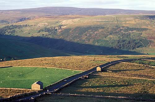Farm Images