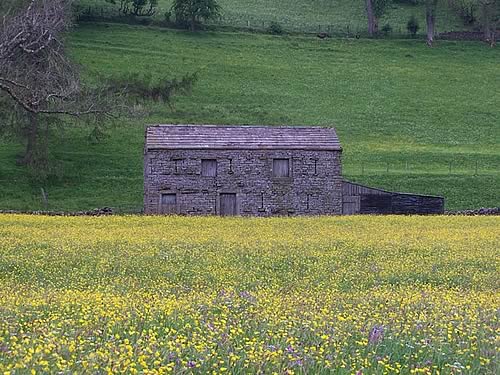 Barn